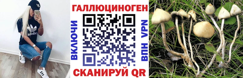 Псилоцибиновые грибы GOLDEN TEACHER  Купить  Касимов 